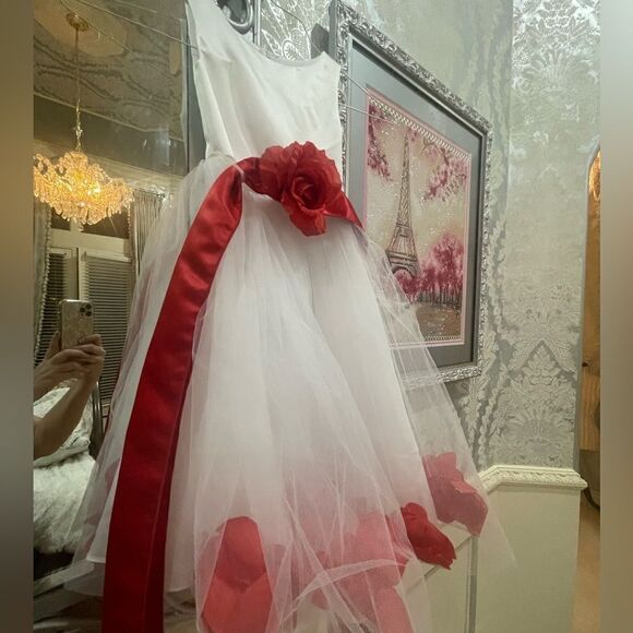GIRL'S Spring Tulle Rose Dress 👗 - Picture 1 of 17